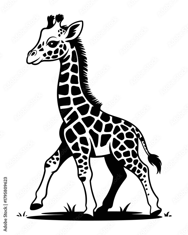 Obraz premium A black silhouette of a young giraffe stands gracefully