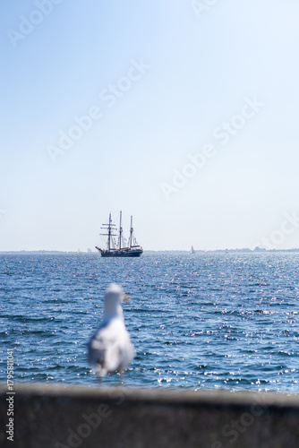 seagull and ship with blurred foreground