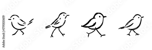 Bird Line Icon Set In Doodle Style. Avian Sketch Collection Illustrating Bird Movement And Behavior. Hand Drawn Isolated Vector Illustration
