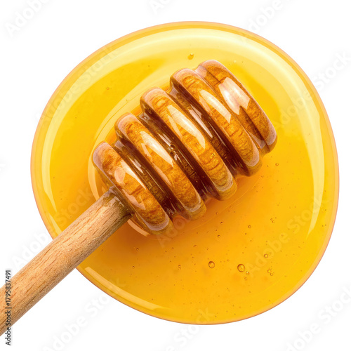 Honey Dipper resting in a pool of golden sweet goodness