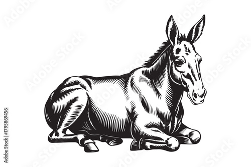 Vintage engraving of a donkey resting on a white background