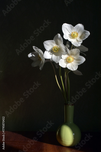 Wallpaper Mural Composition of white flowers in a ceramic vase. Wood anemones in vase on black background. Delicate first anemones wih  sunlight. First spring flowers. Spring , floral background. Eriocapitella toment Torontodigital.ca