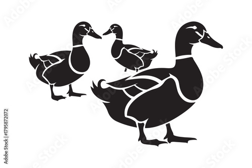 Three black ducks silhouetted against a white background