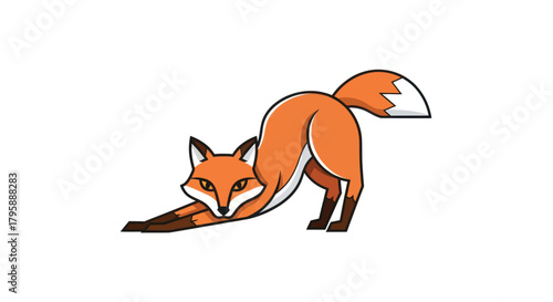 Stretching Fox
