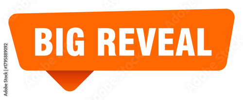 big reveal sticker. big reveal orange sign isolated on transpatent background