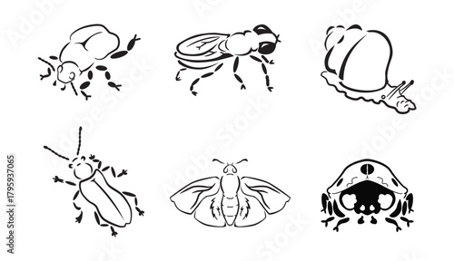 Planche insecte 01