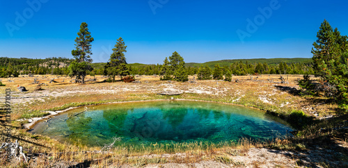 Clear turquoise water of a hot spring at the Fairy Falls Trailhead in Yellowstone National Park. The pool is surrounded by dry grass and a pine forest