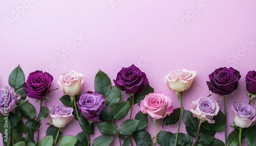 Purple roses with green leaves arranged in line on light purple background. Different shades of violet flowers form natural border.