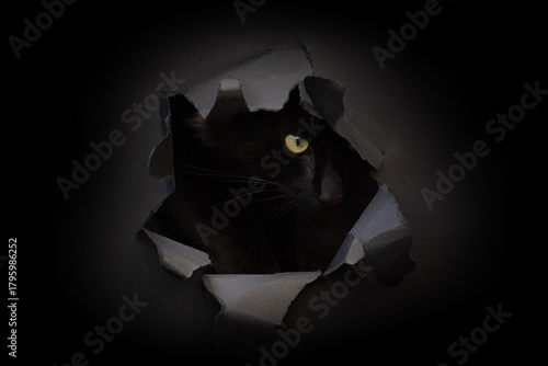 Eine schwarze Katze mit leuchtend gelbem Auge blickt neugierig durch ein Loch in dunklem Papier oder Karton. Der Hintergrund ist komplett schwarz, das Motiv wirkt geheimnisvoll und kreativ.