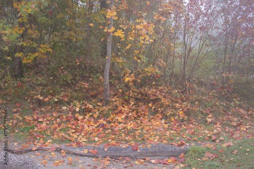 Memória e História que Nunca Pode Ser Esquecida