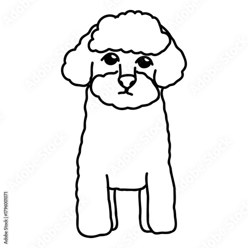 Hand drawn vector doodle set with cute maltipoo, poodle mix dog