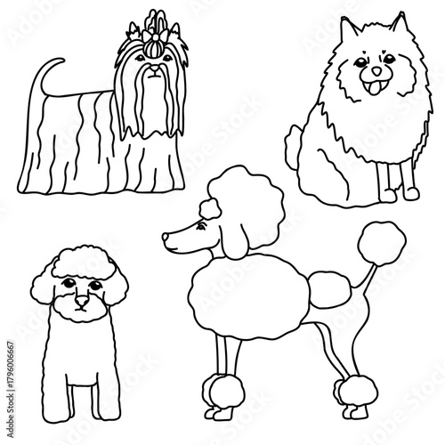 Hand drawn vector doodle set with different cute dog breeds 