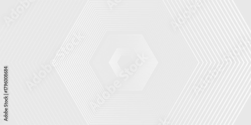 Abstract hexagon white and gray light technology with texture background. Modern digital design. Corporate digital version
