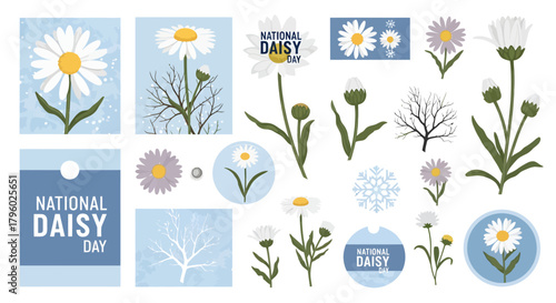 A collection of illustrations featuring daisies in various stages of bloom and buds, set against blue and white backgrounds, celebrating National Daisy Day with decorative elements.