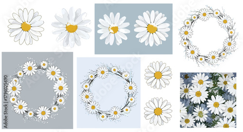 A collection of daisy illustrations and a photograph, featuring individual flowers and decorative wreaths, showcasing the beauty of white and yellow daisies.