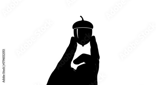 Clean Silhouette: Hand Delicately Holds a Single Acorn on Bright White.