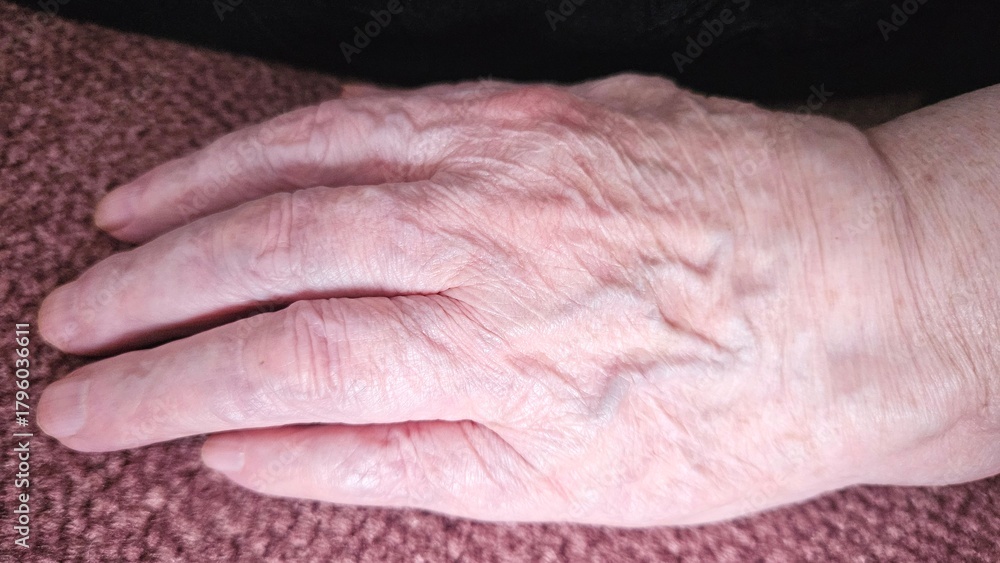 Fototapeta premium Close-up of a senior person's hand showing aged skin, wrinkles and veins. Natural texture, elderly care concept, health, human anatomy, detailed view, real life authenticity