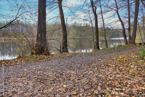 forest roads in the Cybina River valley, view before sunset in autumn