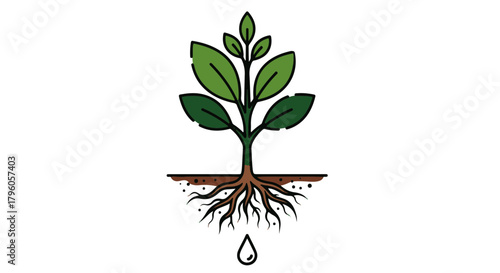 Clean graphic of a vibrant green plant with roots and a water drop, symbolizing sustainable growth, nature's cycle, and a fresh ecological future