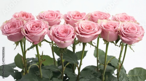 A Bouquet of Delicate Pink Roses