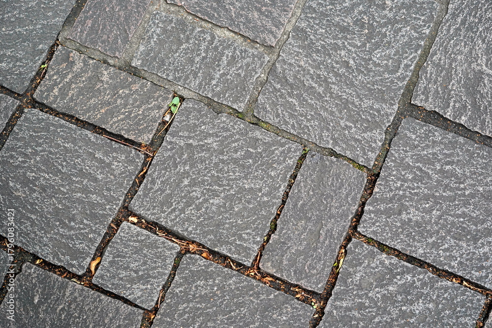 Obraz premium 表面にざらつきのある不揃いの形をした濃い灰色の石畳のクローズアップ写真で目地にはわずかに草や落ち葉が見えます。