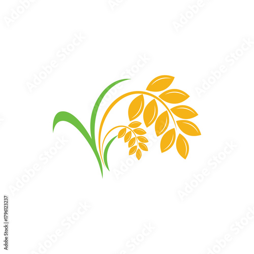 Rice Agriculture Branding Vector