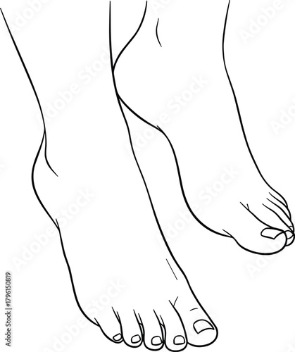 Human feet top view, anatomical foot drawing, black and white line art, medical illustration, toe detail, realistic foot sketch