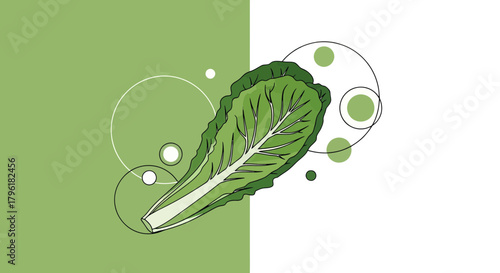 Abstract Art Featuring a Fresh Lettuce Leaf with Geometric Shapes And Vibrant Colors