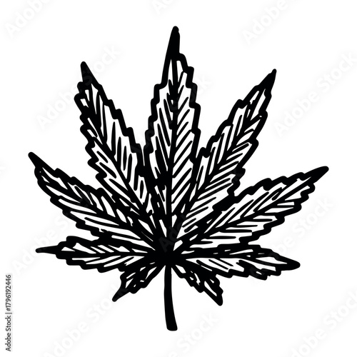 Hand drawn cannabis leaf Medicine marijuana Hemp leaves clipart in doodle style Single element for print, web, design, decor