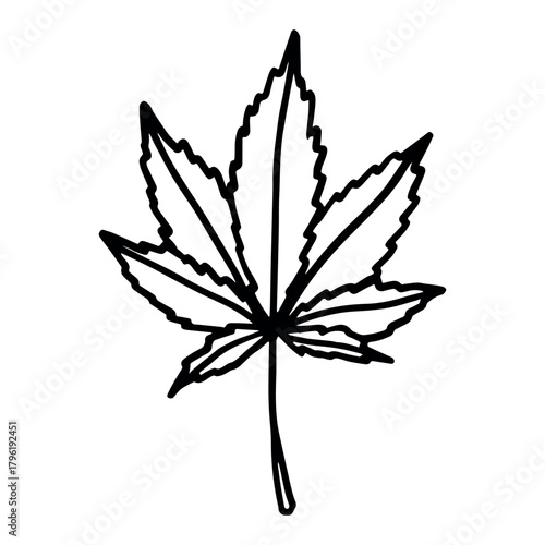 Hand drawn cannabis leaf Medicine marijuana Hemp leaves clipart in doodle style Single element for print, web, design, decor