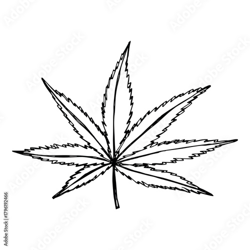 Hand drawn cannabis leaf Medicine marijuana Hemp leaves clipart in doodle style Single element for print, web, design, decor