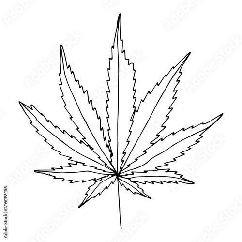 Hand drawn cannabis leaf Medicine marijuana Hemp leaves clipart in doodle style Single element for print, web, design, decor