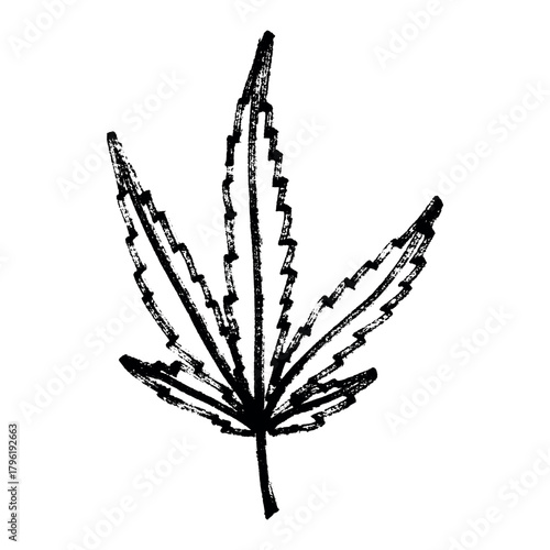 Hand drawn cannabis leaf Medicine marijuana Hemp leaves clipart in doodle style Single element for print, web, design, decor