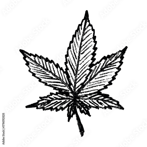 Hand drawn cannabis leaf Medicine marijuana Hemp leaves clipart in doodle style Single element for print, web, design, decor