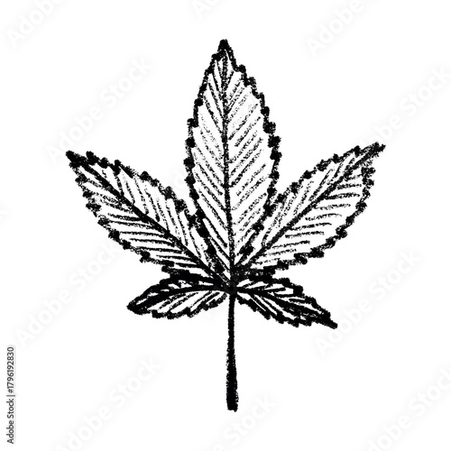Hand drawn cannabis leaf Medicine marijuana Hemp leaves clipart in doodle style Single element for print, web, design, decor
