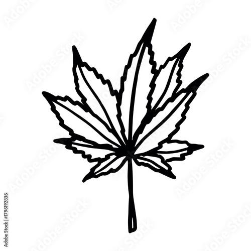 Hand drawn cannabis leaf Medicine marijuana Hemp leaves clipart in doodle style Single element for print, web, design, decor