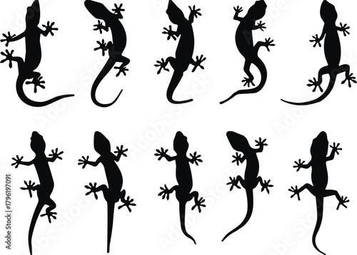 Black silhouette collection of lizards and geckos in various climbing and crawling poses, detailed reptile vector illustration for design and decoration