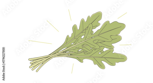 Aromatic Fresh Arugula Bouquet Illuminated on a Dramatic Dark Background