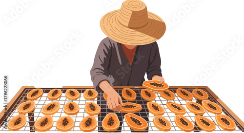 Asian Vendor Arranging Papaya Slices on Drying Rack for Fruit Preservation Process