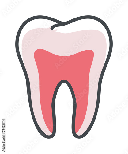 Tooth vector illustration with pink enamel, red pulp chamber, and black outline — stock vector