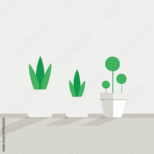 Three Potted Plants on a Shelf Minimalist Design house plants