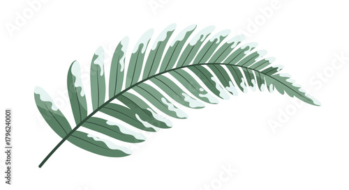 Illustration of a fern leaf with green and white variegation.