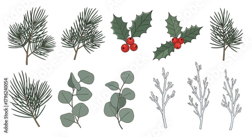 A collection of various botanical elements including pine branches, holly with berries, eucalyptus leaves, and bare branches.