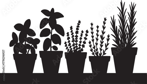 Silhouette illustration of fresh herbs in pots on transparent background