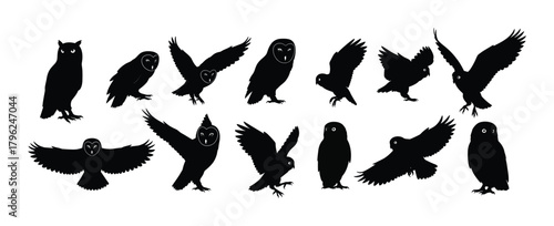 Diverse Owl Silhouettes A Captivating Vector Collection of Nocturnal Birds in Various Poses and Actions