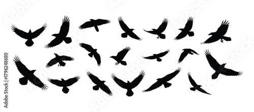 Silhouette of Birds Flying in Formation A Symbol of Freedom and Movement
