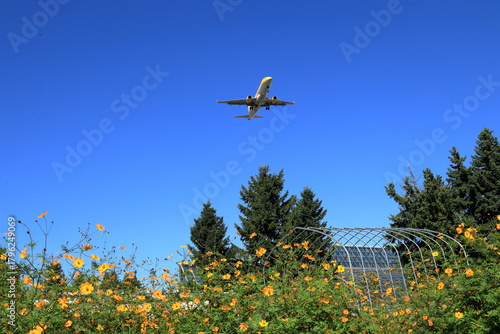 花畑と飛行機