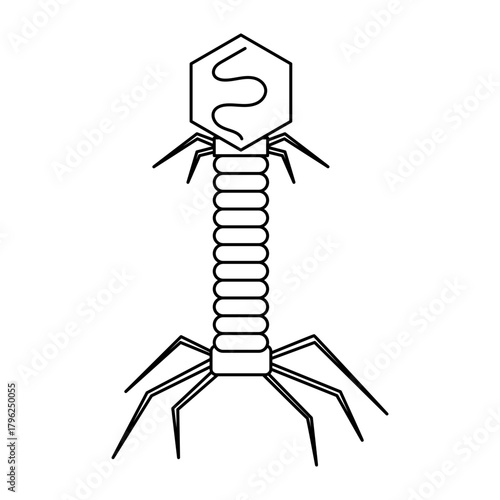 bacteriophage virus. Three dimensional render of bacteriophage viruses
