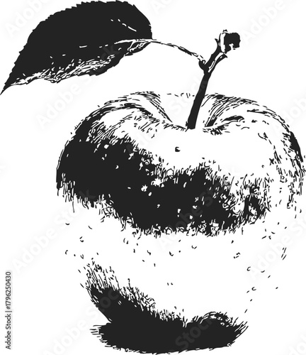 Apple, hand drawn sketch with textured shading and organic details — stock vector