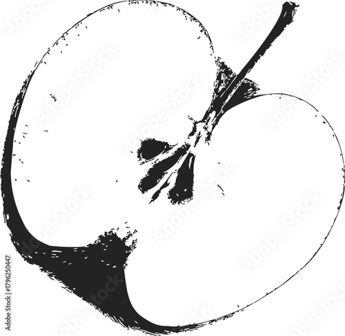 Apple half sketch hand drawn black and white fruit cross section — stock vector